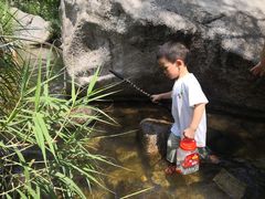 -碓臼峪自然风景区