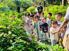 -江门市中天国际艺术幼儿园