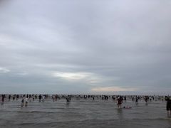 -奉贤海滩
