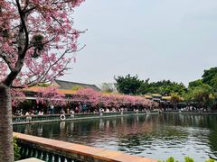 -宝墨园景区