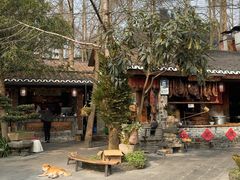 -青城甲(青城山店)