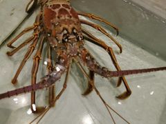 -万龙洲海鲜(大兴绿地缤纷城店)