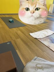 -FineYoga梵音瑜伽·普拉提