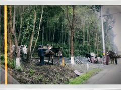 -九峰山