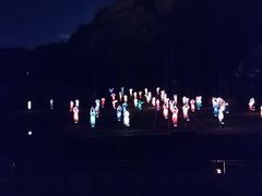 -印象普陀