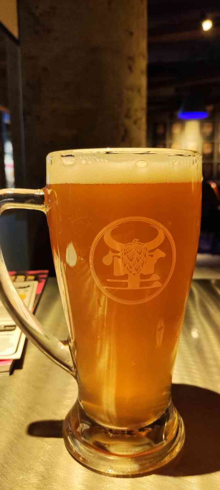 牛啤堂精酿啤酒餐吧(护国新天地店)-"空间一般,就还好,聚会可以去的小