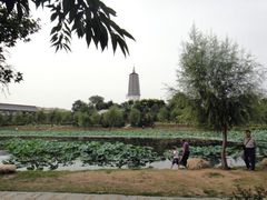 -舍利塔滩地公园-无垢净光舍利塔