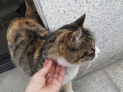 -魏家凉皮(中贸广场店)