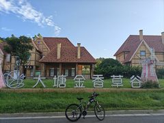 -大塘金香草谷