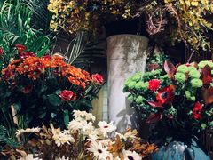 -春暖花开(西溪店)