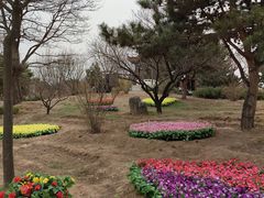 -北京市八达岭人民公墓