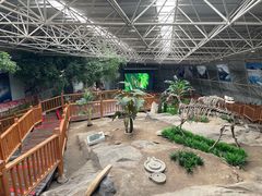 -中国第四纪冰川遗迹陈列馆