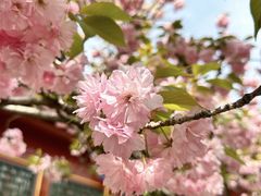 -北京颐和宾馆