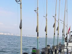 -小猫钓鱼海钓俱乐部(椰梦长廊店)