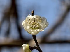 -vivo官方授权体验店(朝阳合生汇店)
