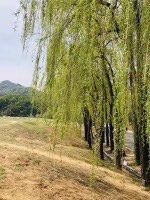 -定都峰