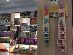 -天使宠物医院·犬猫分诊(彩虹店)