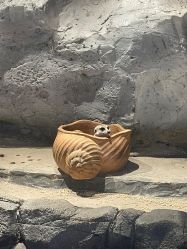 -Zoolung Zoolung动物主题公园(海信广场店)