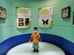 -上海昆虫博物馆