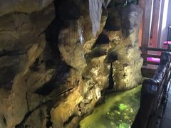 -御池园(顾村公园店)