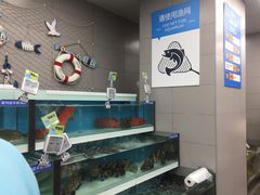 -盒马鲜生(大成店)