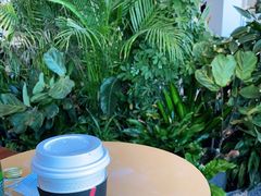 -Seesaw Coffee(朝阳大悦城店)