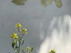 -苍山世界地质公园·石门关大峡谷