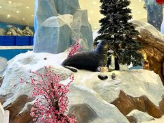 -湘江欢乐城欢乐雪域
