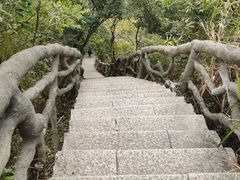 -梧桐山风景名胜区