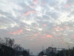 -盘龙黄鳝(盘龙居店)