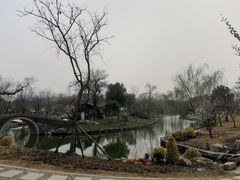 -鹅湖玫瑰文化园