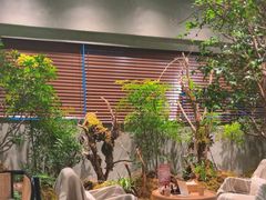 -森SPA·泰式按摩·精油Massage(宝安中心店)