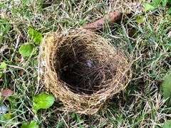 -福建鲤鱼洲酒店