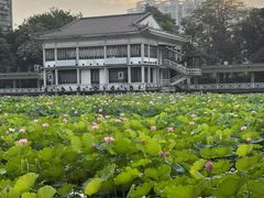 -荔湾湖公园