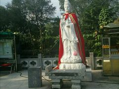 -高尔山公园
