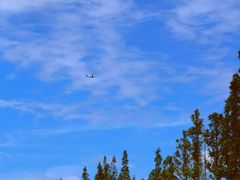 -前小桔亲子创意农场·草莓采摘·露营烧烤