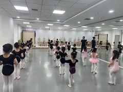 -西安小天鹅艺术团(金花路校区)