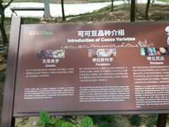 -歌斐颂巧克力小镇