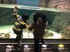 -江和美海洋公园
