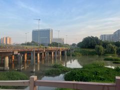-广东花都湖国家湿地公园