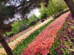 -石家庄市植物园