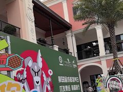 -瑞鹏宠物医院·超声·骨科·奇麟分院(蜀都万达店)