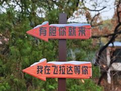 -抱犊崮国家森林公园