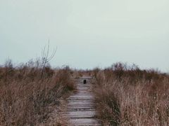 -绿堤公园
