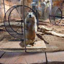 -Zoolung Zoolung动物主题公园(海信广场店)