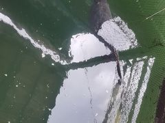 -蓝湾碧波·老字号·疍家非遗海上餐厅