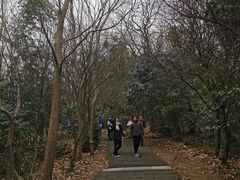 -上海佘山国家森林公园西佘山园