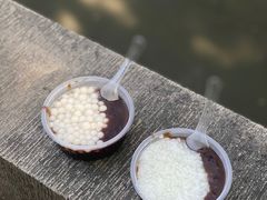-潘玉麟糖粥