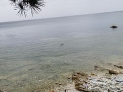 -养马岛旅游度假区