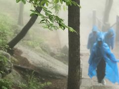 -崂山巨峰游览区